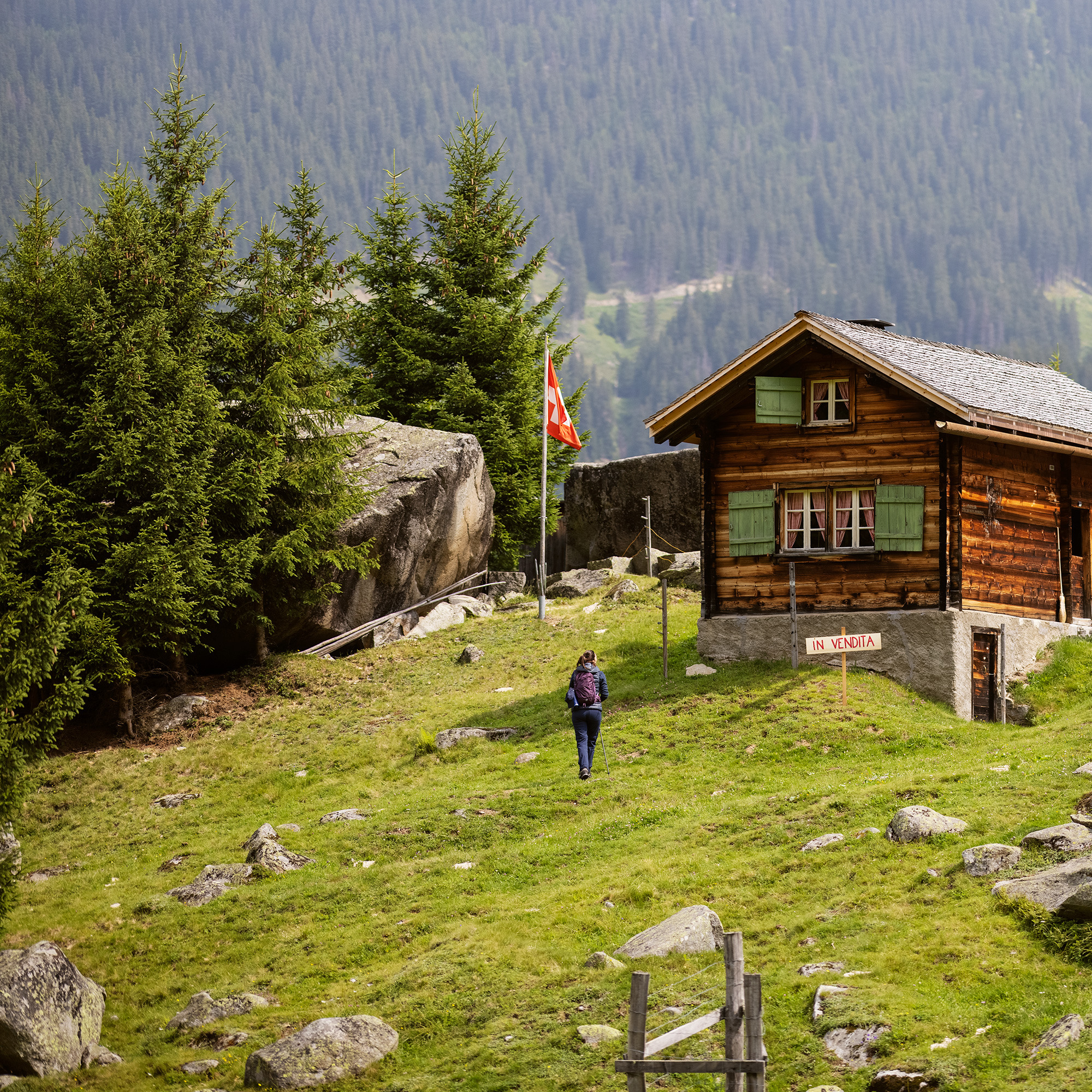 Berghütte in grüner Berglandschaft